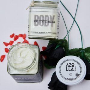 Body Butter - Shea Butter + Mango Butter