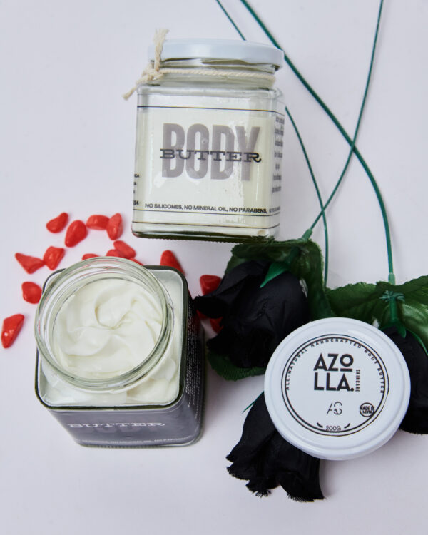 Body Butter - Shea Butter + Mango Butter