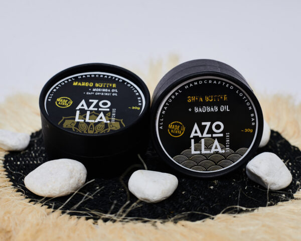 Lotion Bar - Mango Butter + Moringa Oil + Capechesnut Oil - Image 2